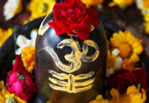 Offer these flowers to Lord Shiva in the month of Sawan