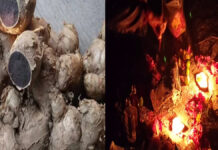 Miraculous effects of black turmeric