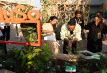 Grow Lab launched to connect children with nature