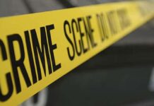 Major action of CID Crime Branch: Taking pro-active action, criminals were caught before committing the crime