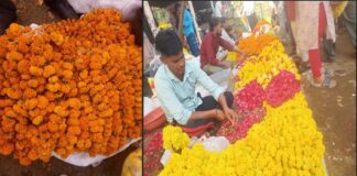 Marigold Blooms with ‘Inflation’ on Diwali: Surge in Flower Prices Due to High Demand