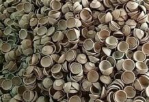 Rising Glow of Clay Lamps: Jaipur Embraces ‘Vocal for Local’